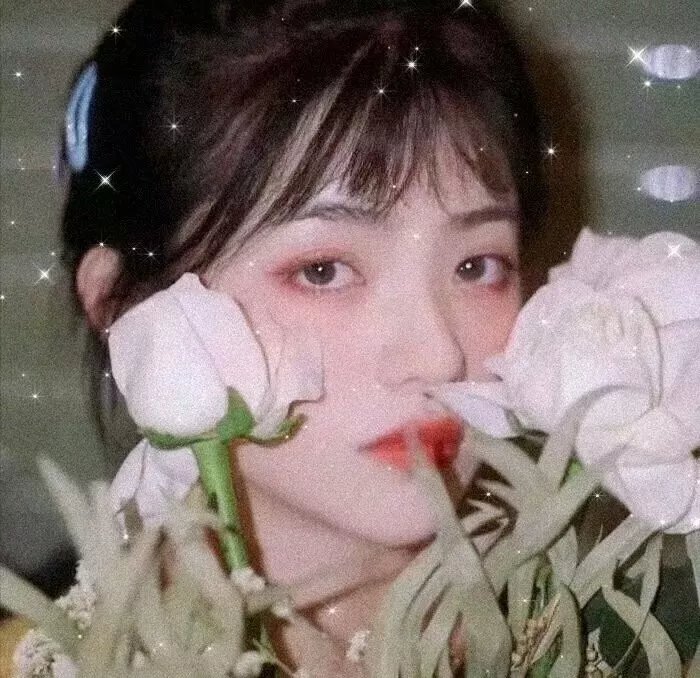 美人脸